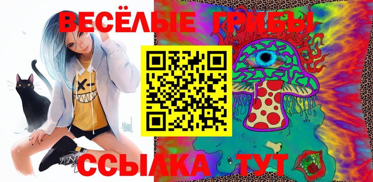 Галлюциногенные грибы MAGIC MUSHROOMS  как найти закладки  Пыть-Ях  Вход с VPN 